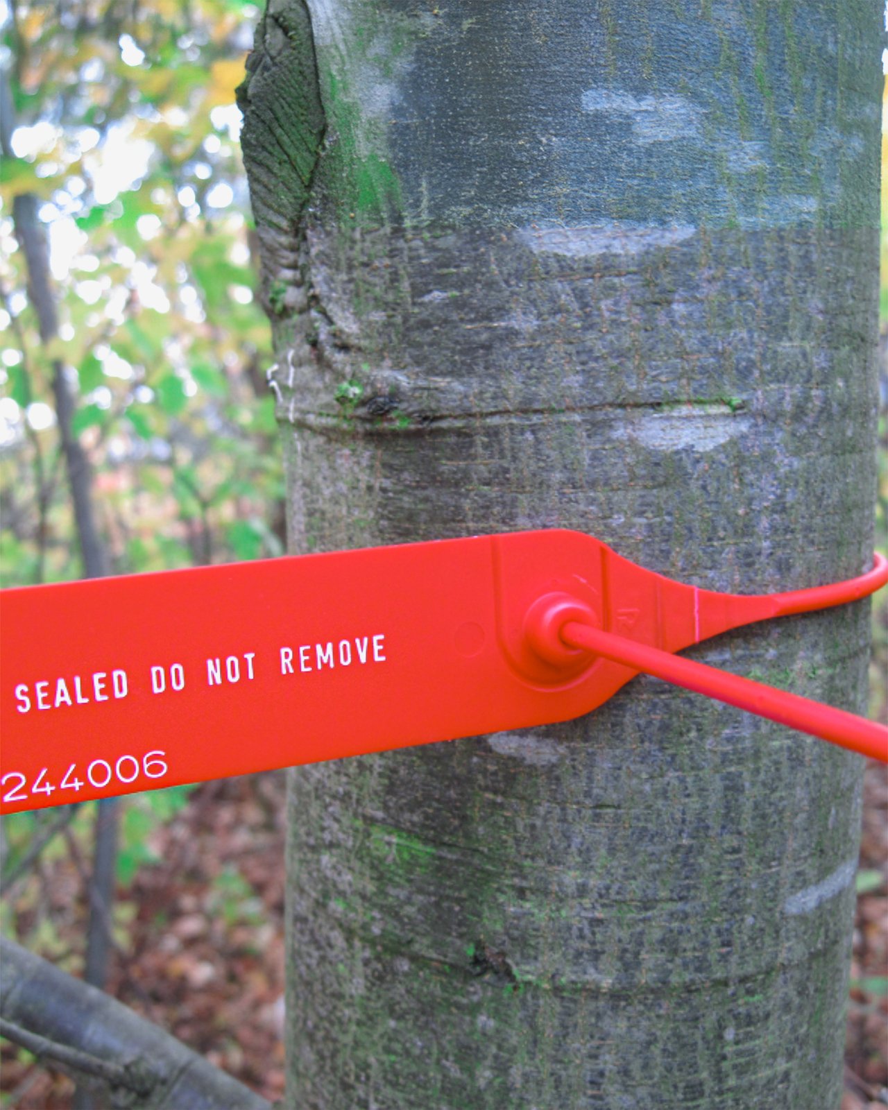 ID Seal 600
